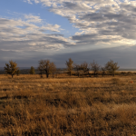 Аватарка пользователя Окрошка